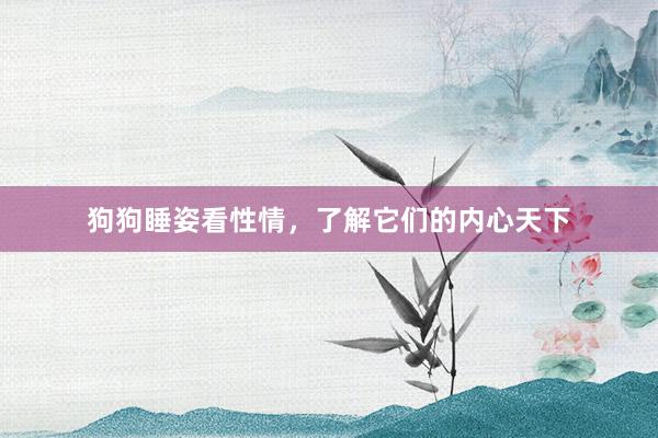 狗狗睡姿看性情,了解它们的内心天下