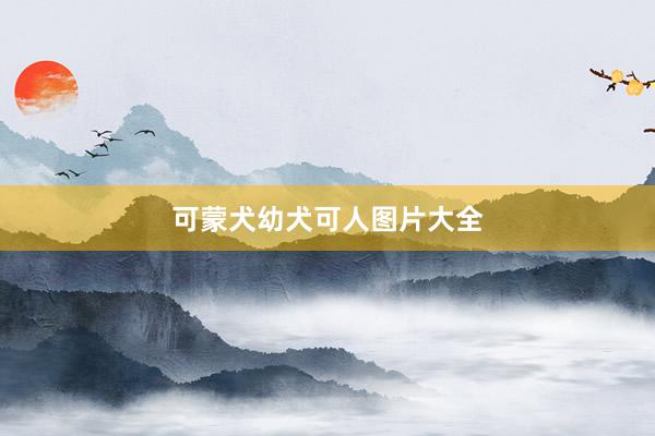 可蒙犬幼犬可人图片大全