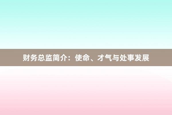 财务总监简介：使命、才气与处事发展